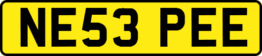 NE53PEE