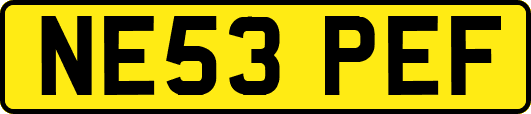 NE53PEF