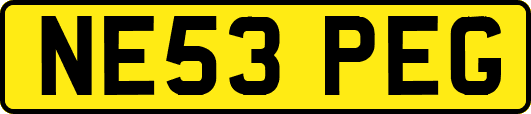 NE53PEG