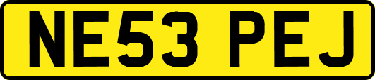 NE53PEJ