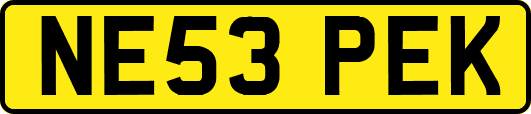 NE53PEK