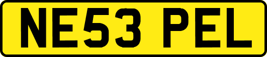 NE53PEL