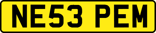 NE53PEM