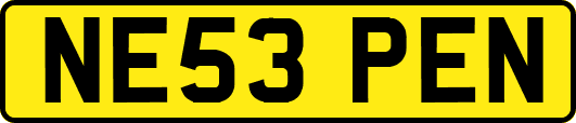 NE53PEN