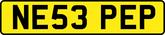 NE53PEP