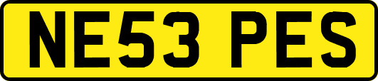 NE53PES