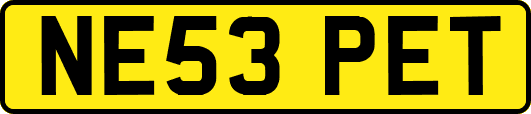 NE53PET