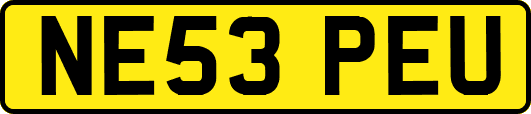 NE53PEU