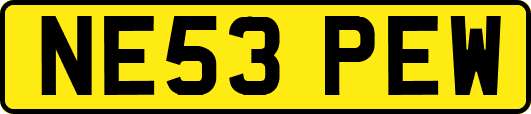 NE53PEW