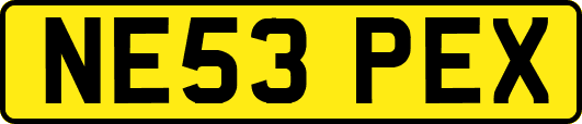 NE53PEX