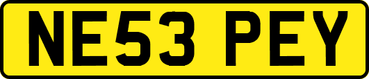 NE53PEY