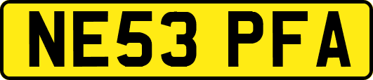 NE53PFA