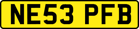 NE53PFB