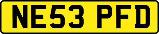 NE53PFD