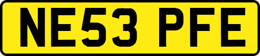 NE53PFE