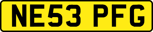 NE53PFG