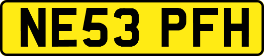 NE53PFH
