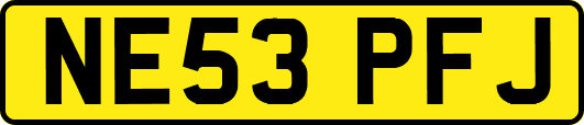 NE53PFJ