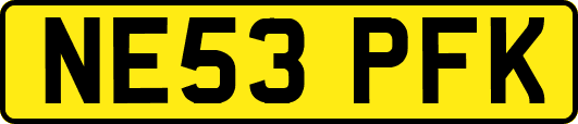 NE53PFK
