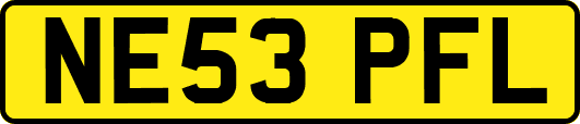 NE53PFL