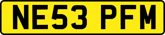 NE53PFM