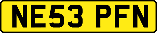 NE53PFN
