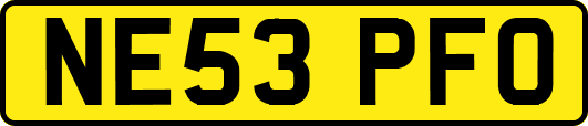 NE53PFO