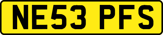 NE53PFS