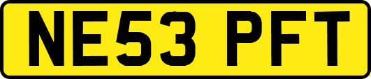 NE53PFT