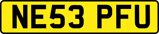 NE53PFU