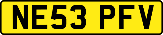 NE53PFV