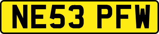 NE53PFW