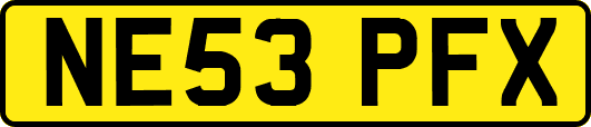 NE53PFX