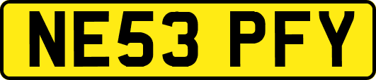 NE53PFY
