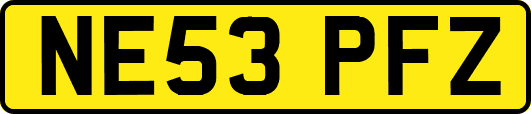NE53PFZ