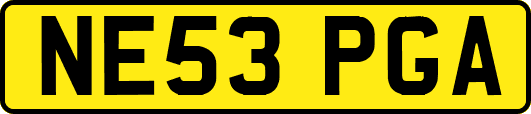 NE53PGA