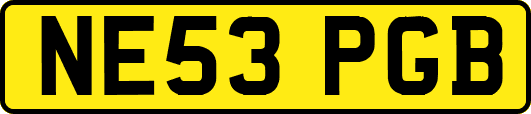 NE53PGB