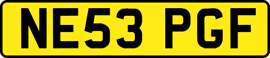 NE53PGF