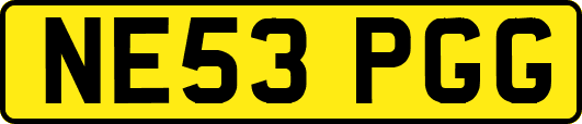 NE53PGG