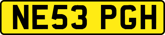 NE53PGH