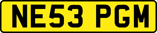 NE53PGM