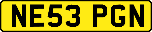 NE53PGN