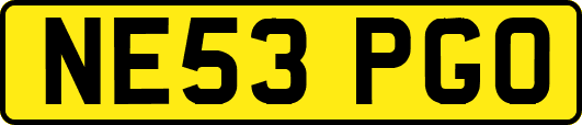 NE53PGO