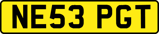 NE53PGT