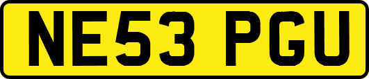 NE53PGU