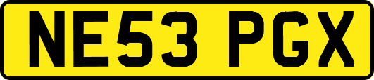 NE53PGX