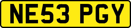 NE53PGY