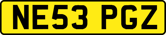 NE53PGZ