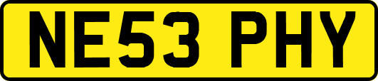 NE53PHY