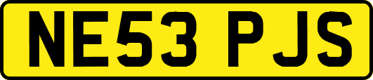 NE53PJS